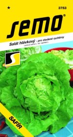 Salát hlávkový Safír